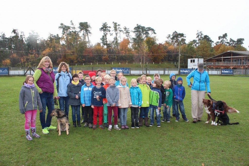 Hundeplatz2014b